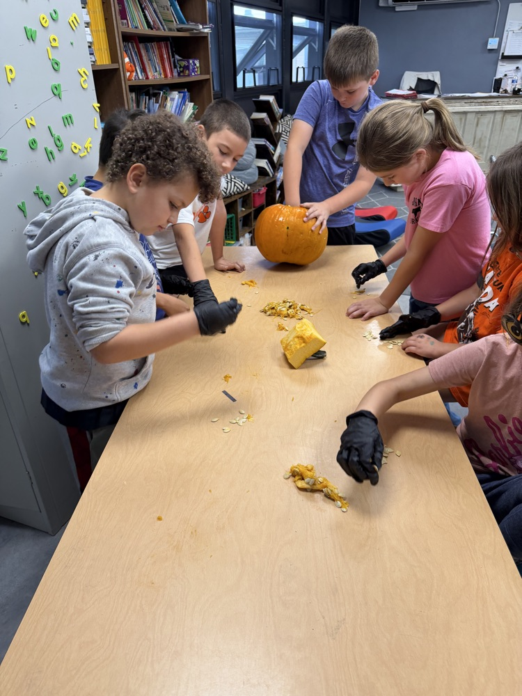 Pumpkin Math
