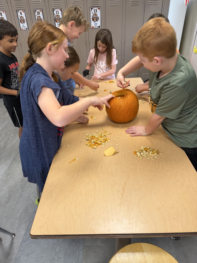 Pumpkin Math