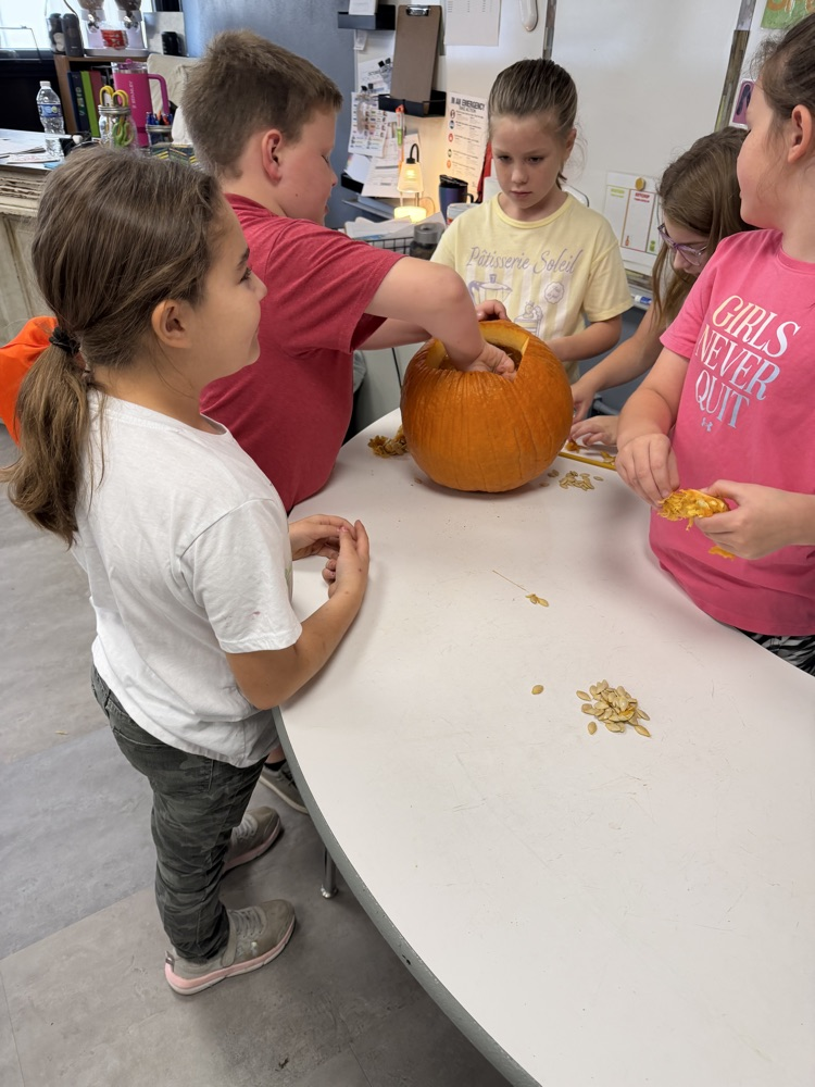 Pumpkin Math