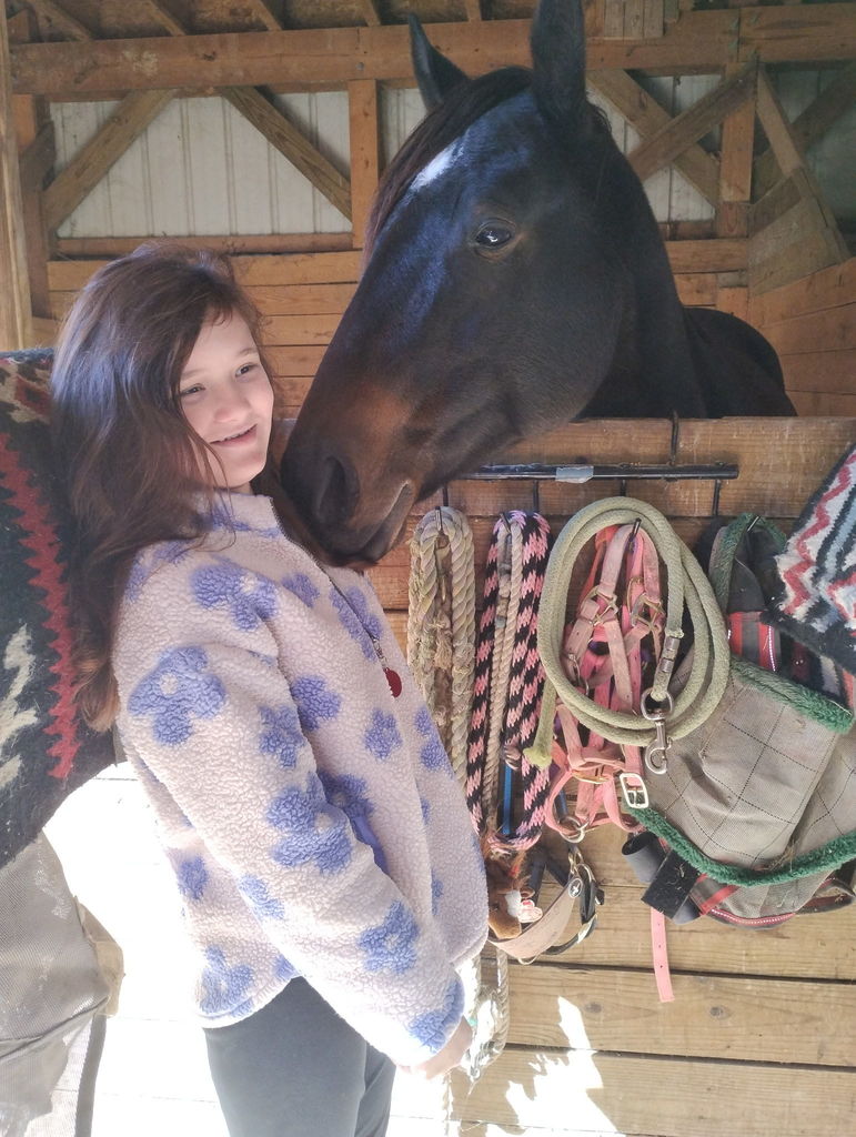 Students visit horse farm