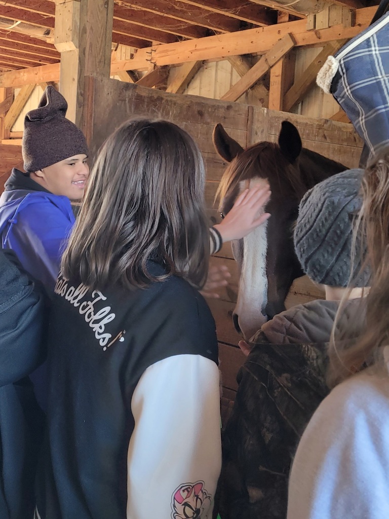 Students visit horse farm