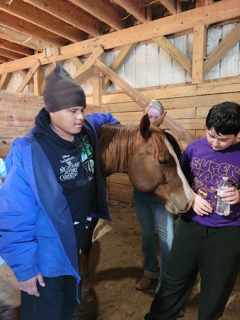 Students visit horse farm