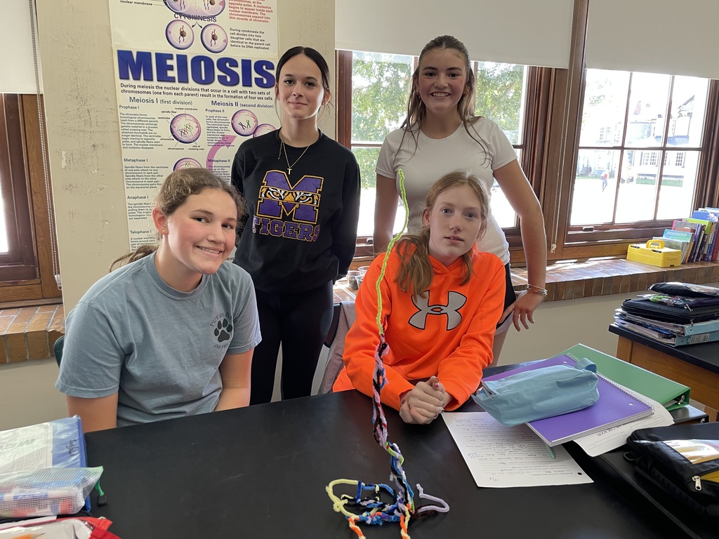 students learning