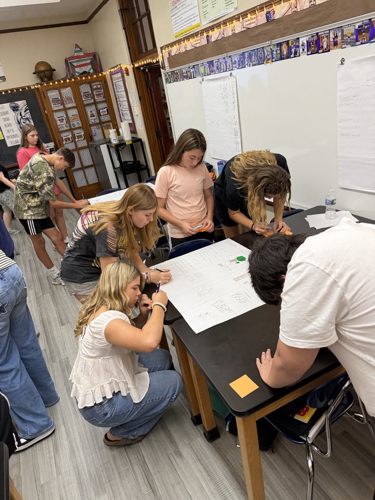 students learning