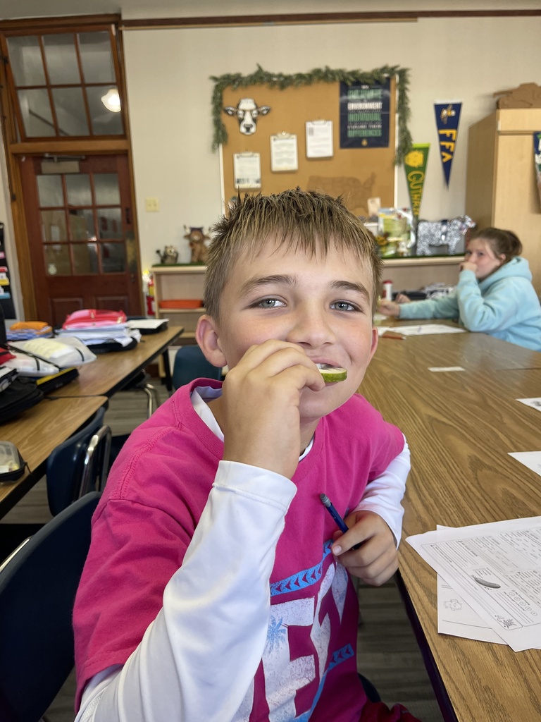 students learning