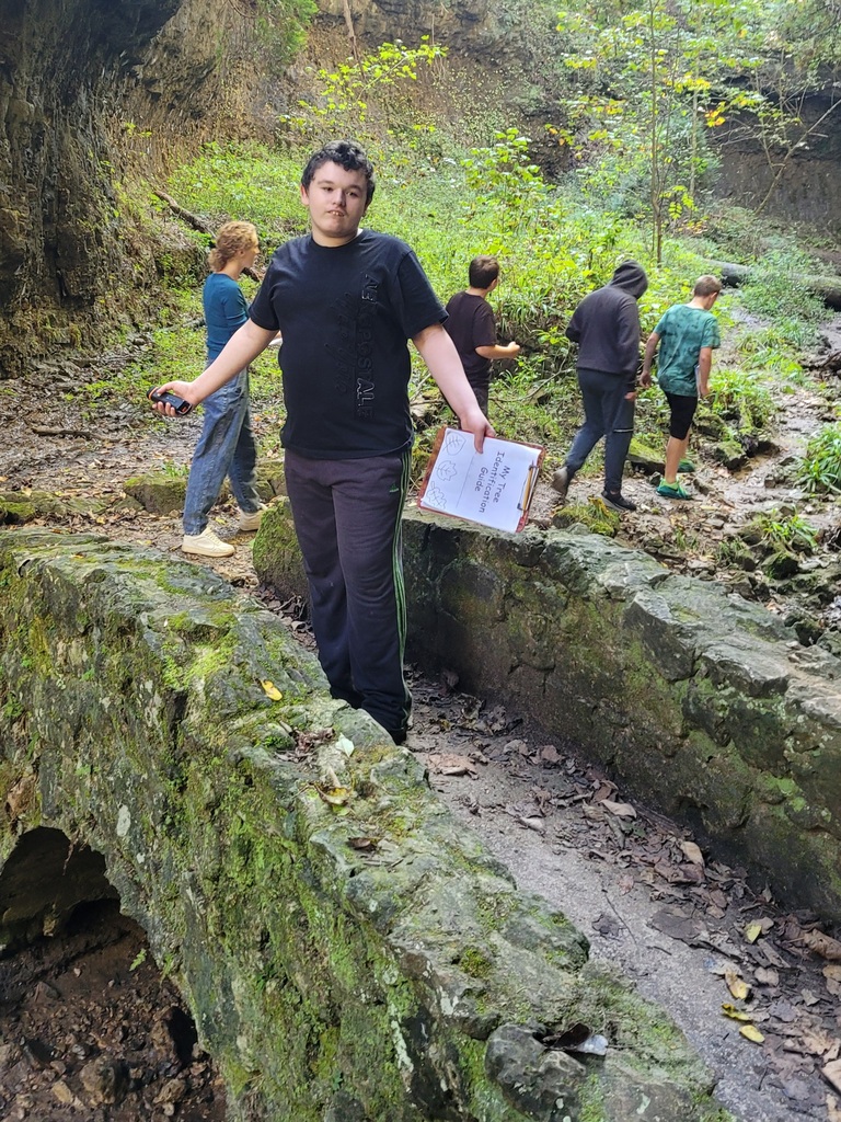 students learning