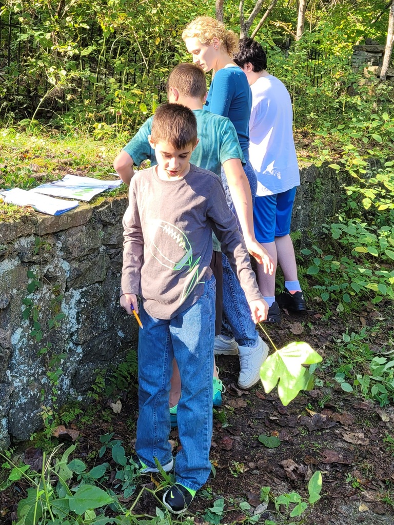 students learning