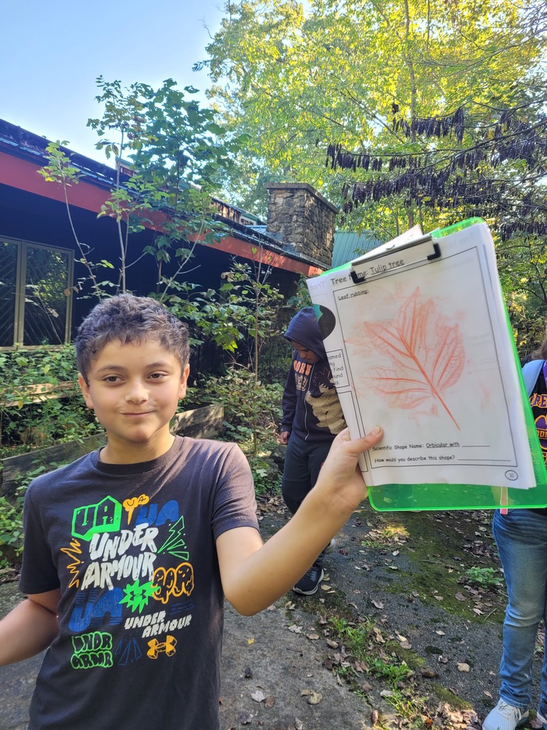students learning
