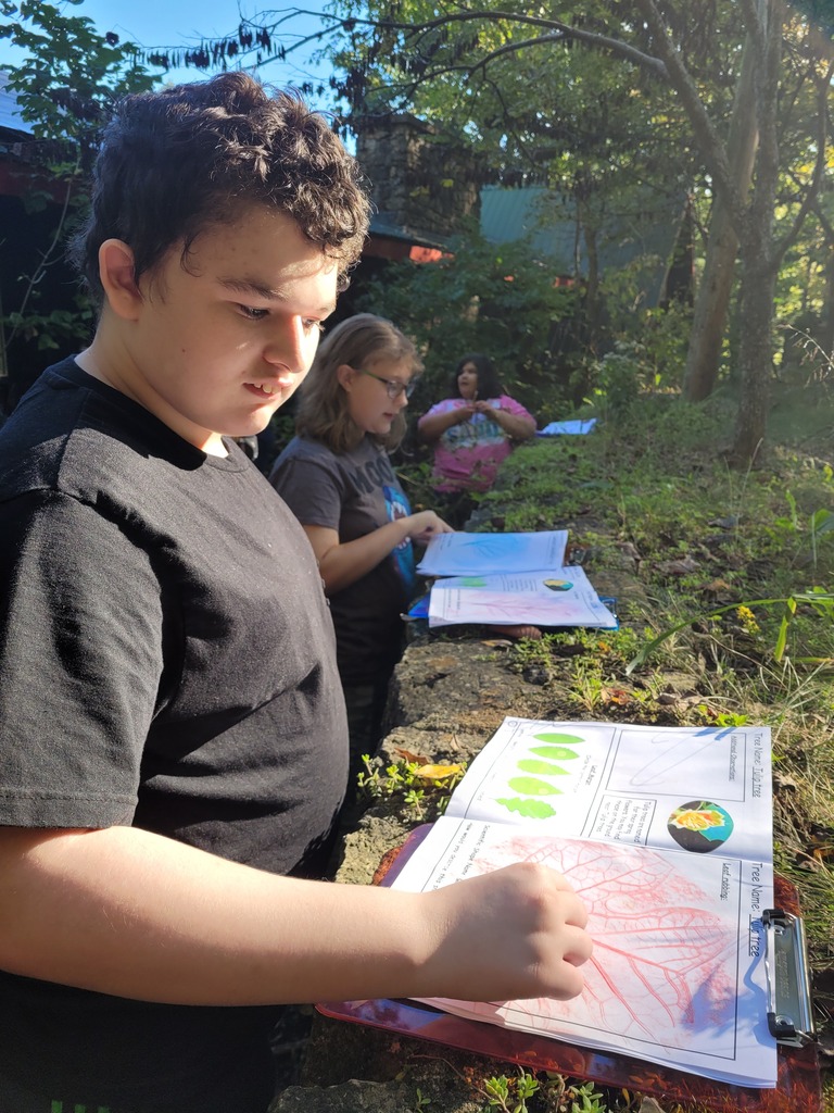 students learning