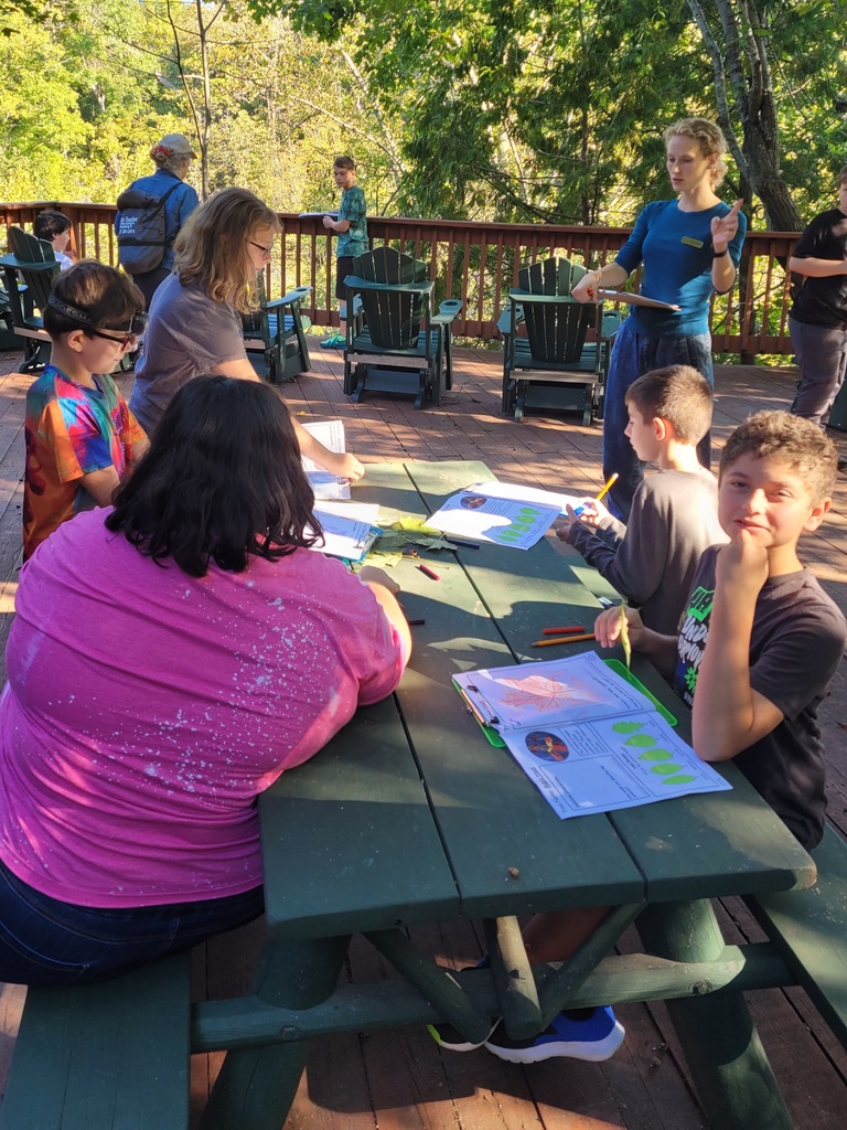 students learning