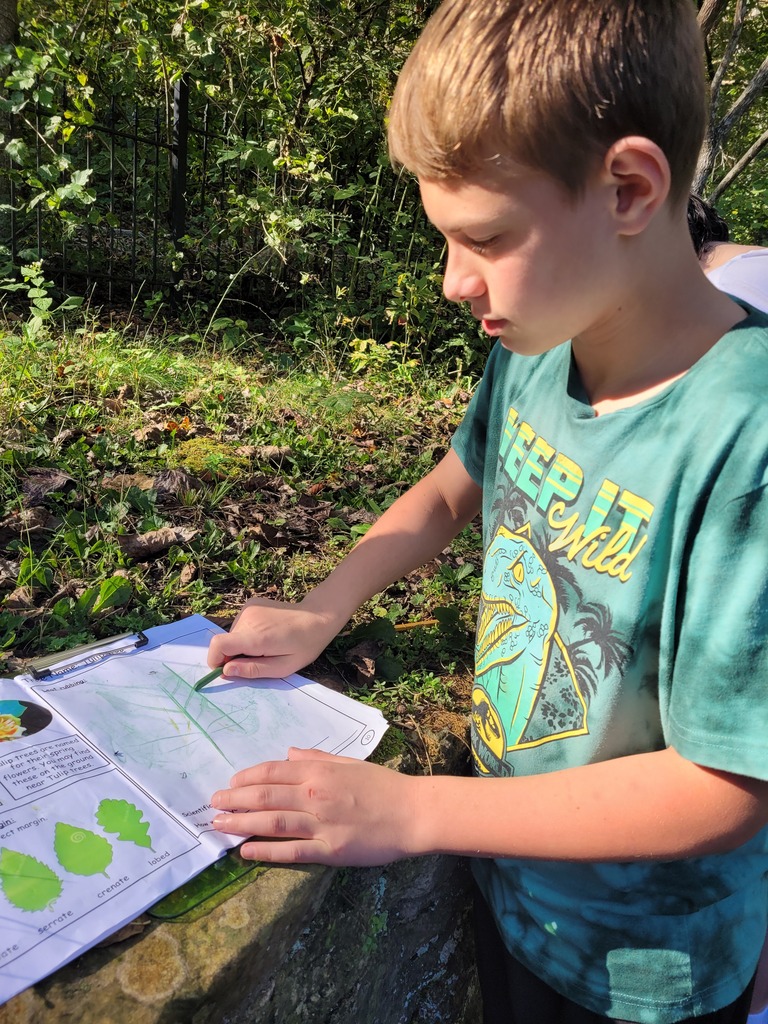 students learning