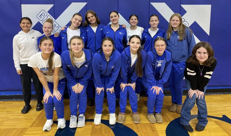 Image of high school girls basketball team