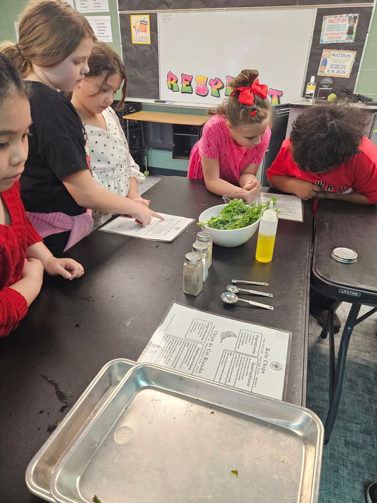 Students learning about food systems