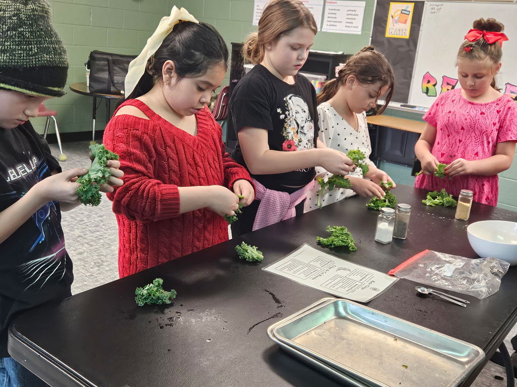 Students learning about food systems