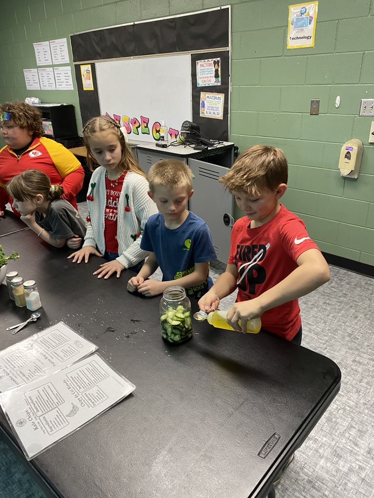 Students learning about food systems