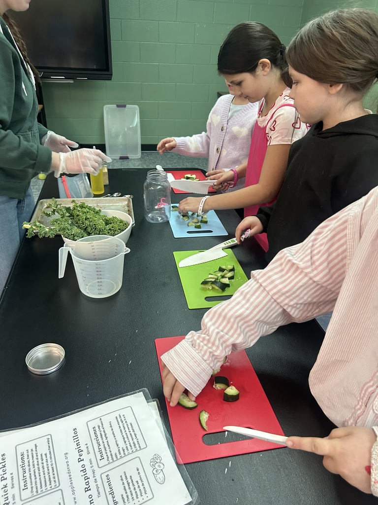 Students learning about food systems