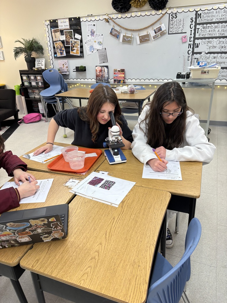 science students investigating onion  with a microscope
