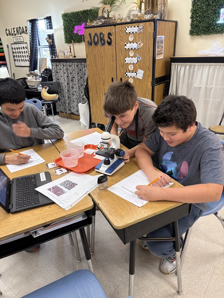 science students investigating an onion  with microscope