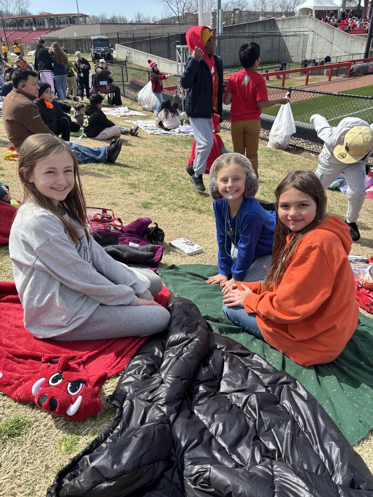 students spectating at the lady razorback softball game