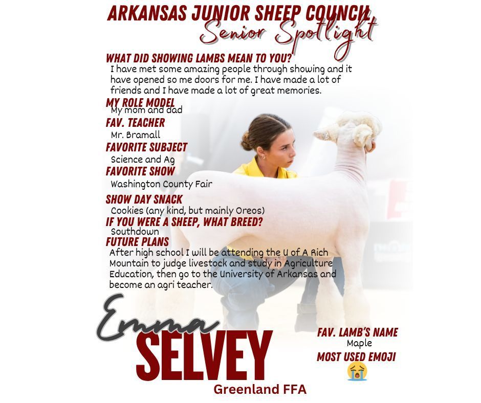 arkansas junior sheep council senior spotlight emma selvey greenland ffa with picture of her with a sheep