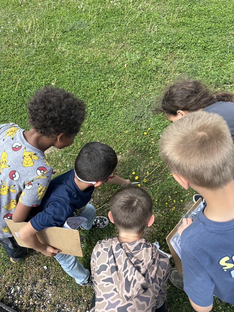 students looking at flowers