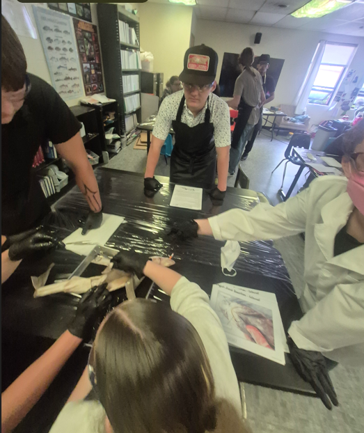 students dissecting a shark