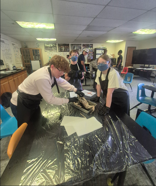 students dissecting a shark