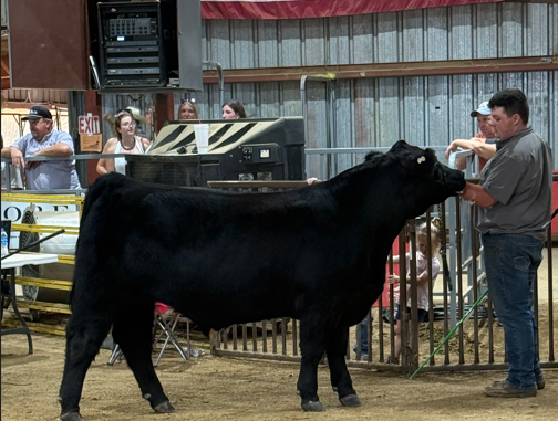 Washington COunty Fair