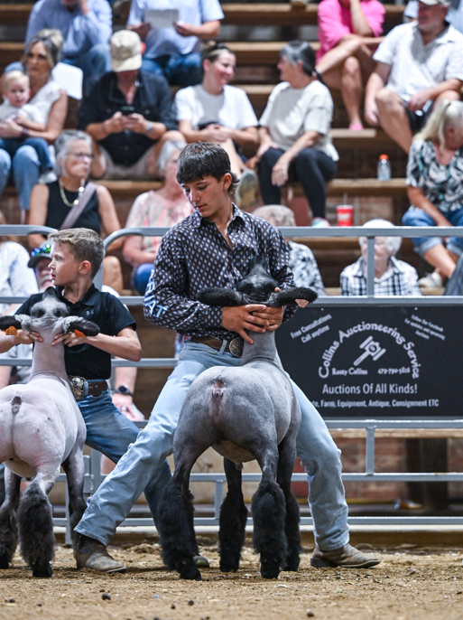 Washington COunty Fair