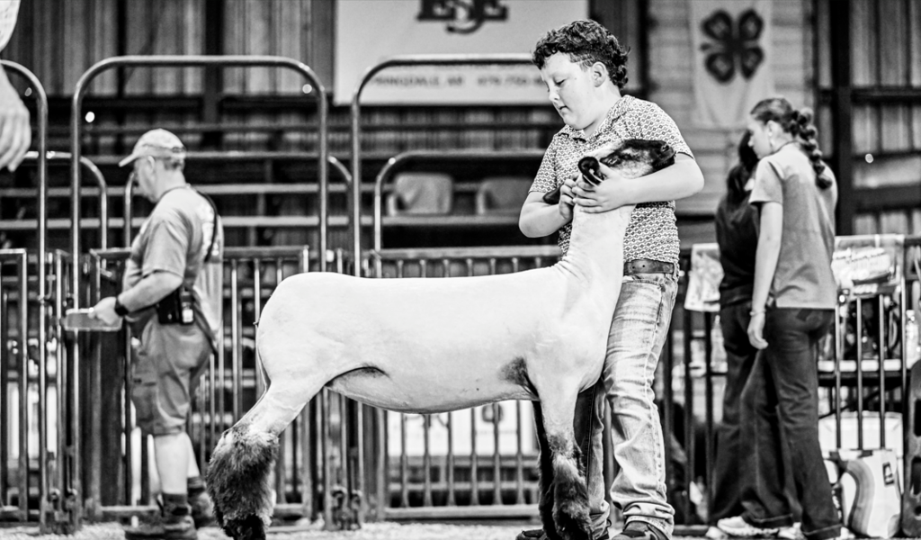 Washington COunty Fair
