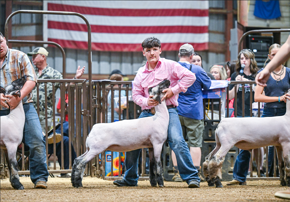 Washington COunty Fair