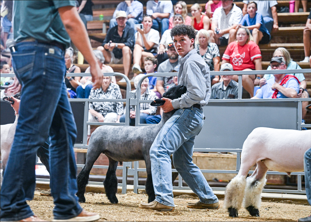 Washington COunty Fair