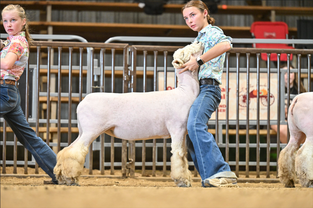 Washington COunty Fair