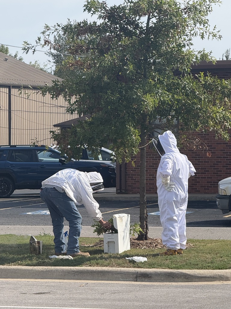 Two people removing a bee swarm