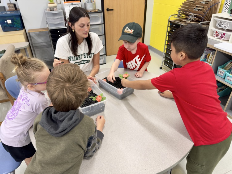students working at desks