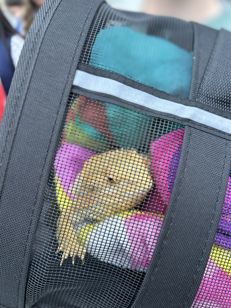 FFA @ South Shore Nursing & Rehab Center