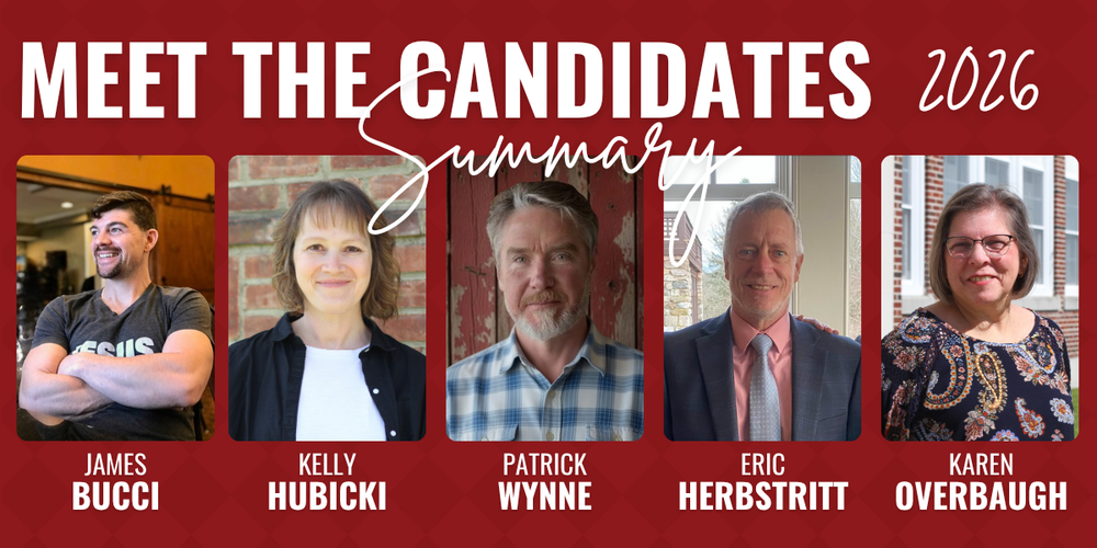 meet the candidates summary