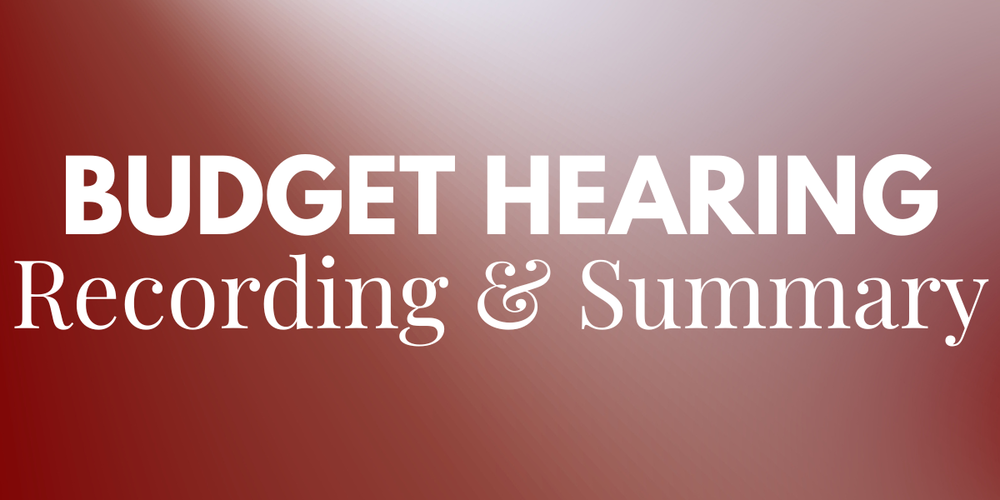 Budget Hearing Recording and Summary
