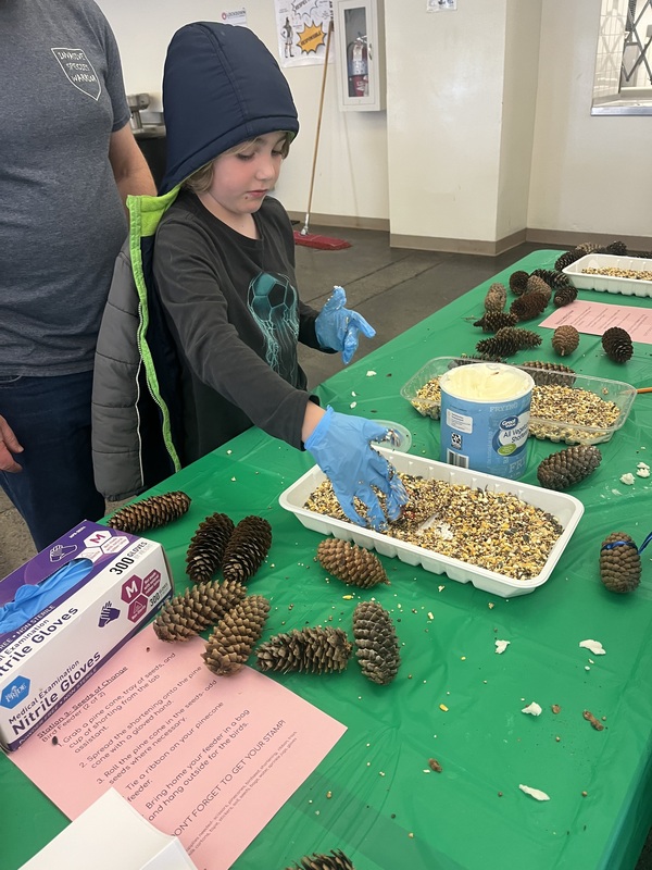 science night