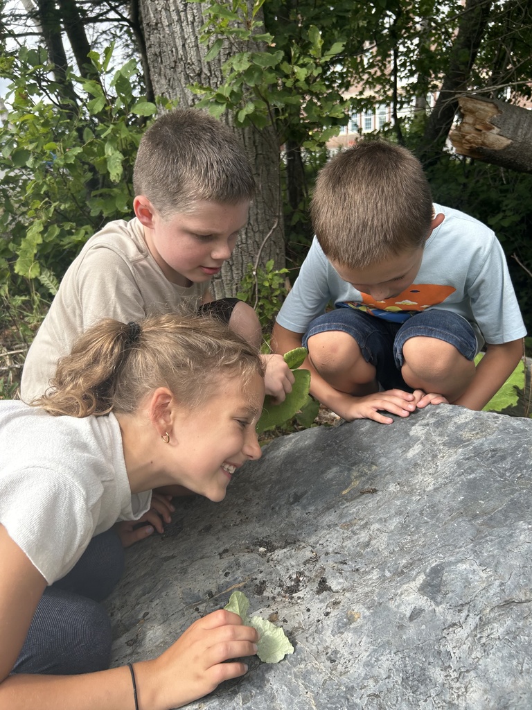 Outdoor learning