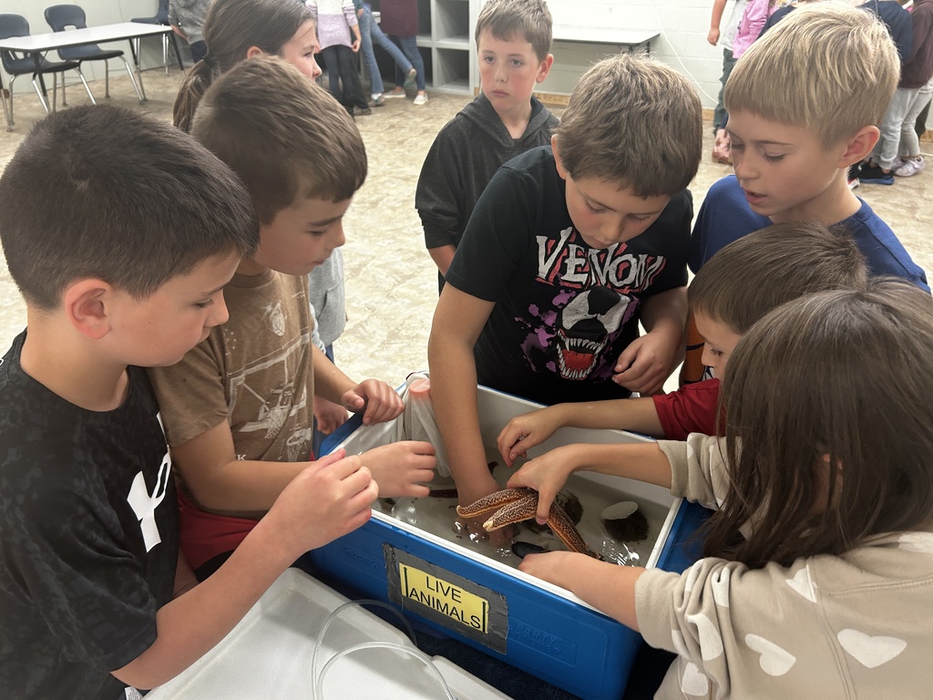Environmental education