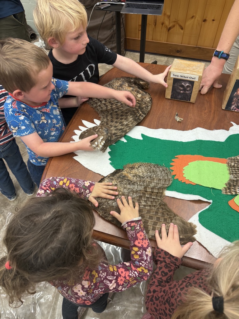 Environmental education