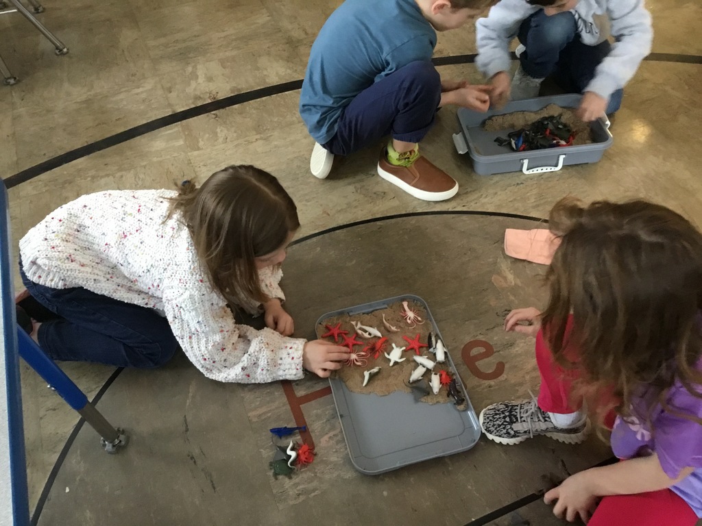 Environmental education