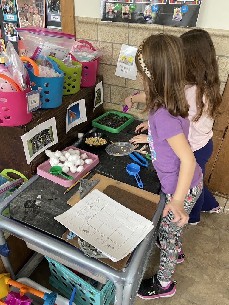 Environmental education