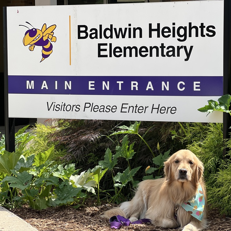 welcome to Baldwin heights
