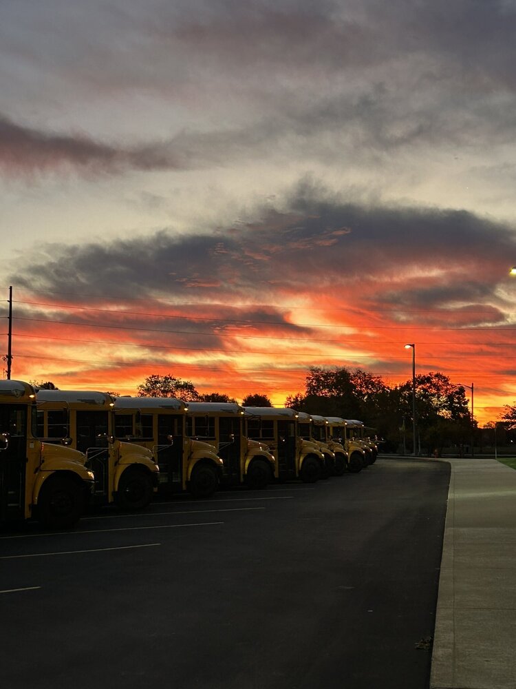bus