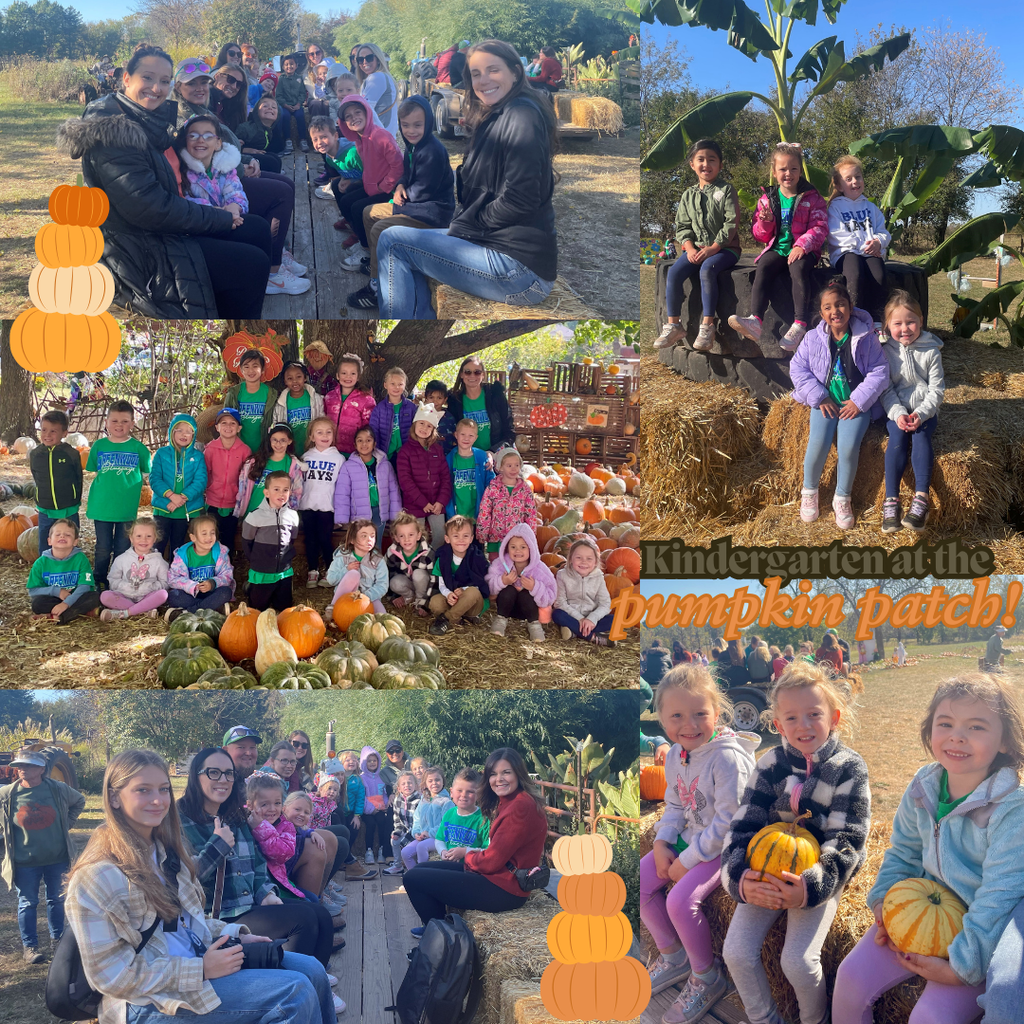 Kindergarten Pumpkin Patch