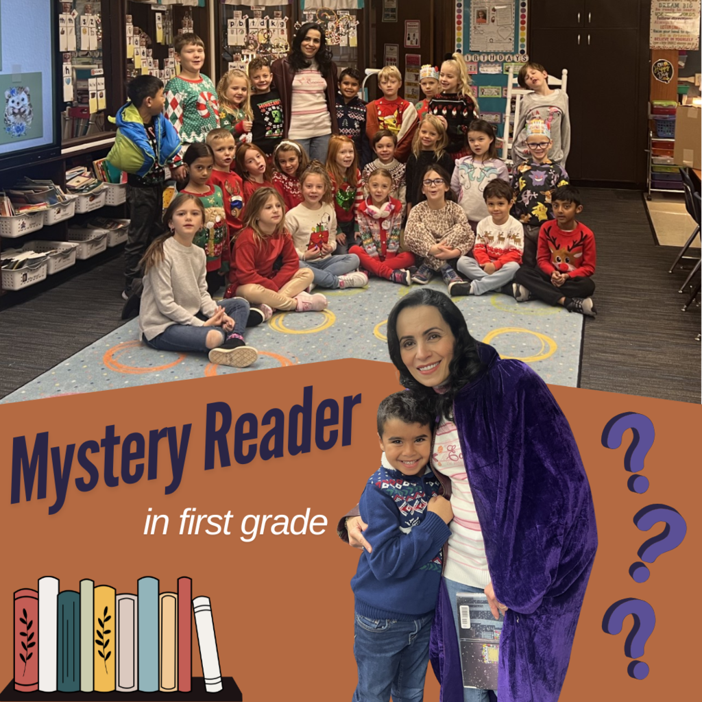 Mystery Reader