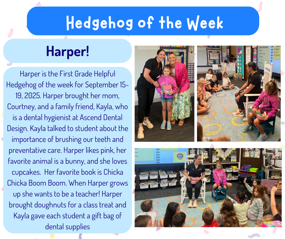 Hedgehog of the Week - Harper!