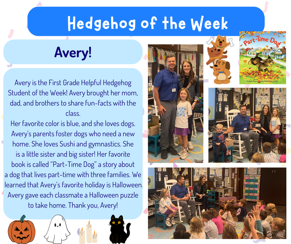 Hedgehog of the Week - Avery!